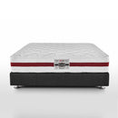 Scandi - سكاندى